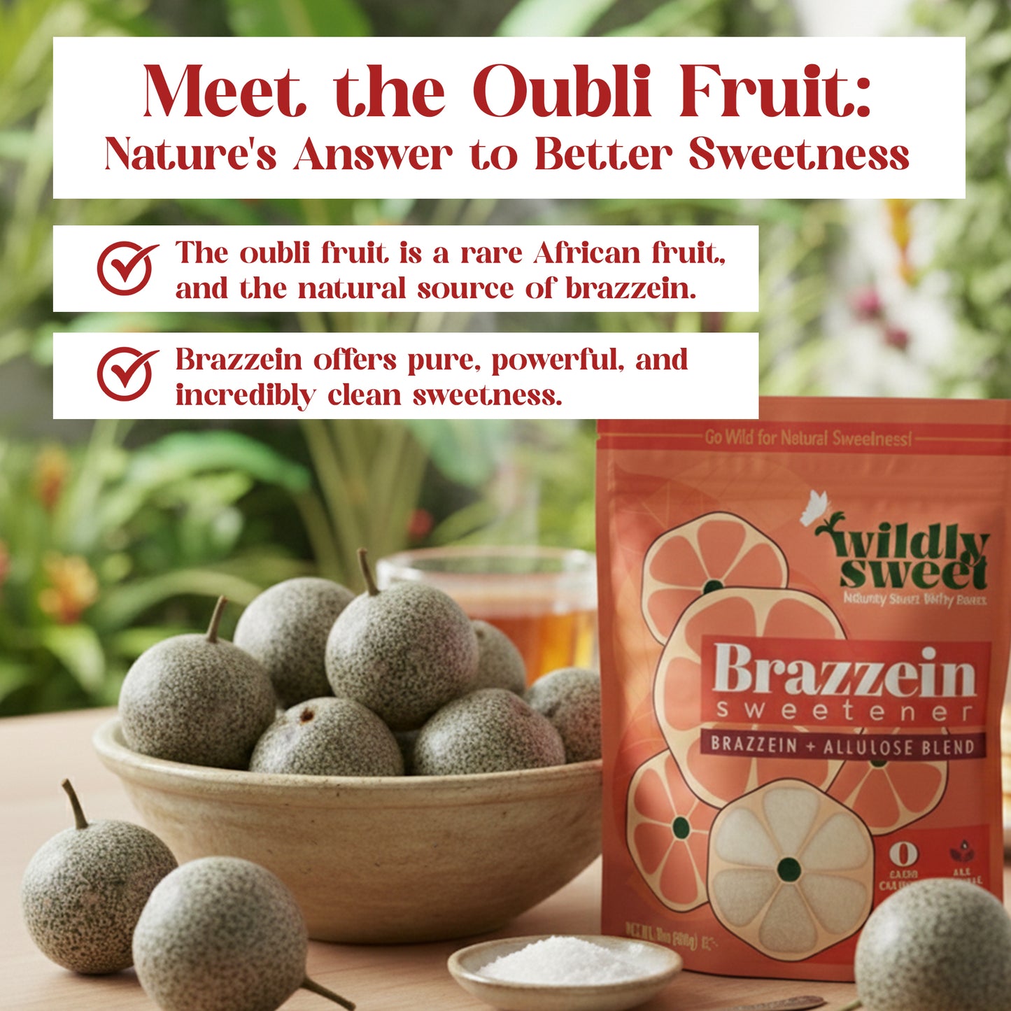 Brazzein Sweetener Blend with Allulose (1.25lb)